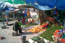 website246044.jpg