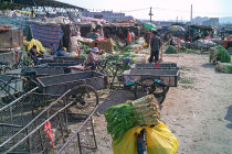 website246046.jpg
