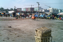 website246047.jpg