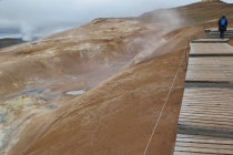 website274046.jpg