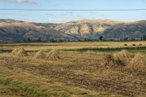 website301010.jpg