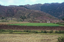 website301011.jpg