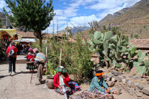 website304011.jpg