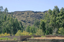 website305004.jpg
