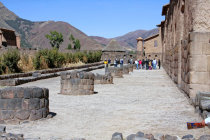 website305009.jpg