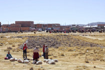 website309006.jpg