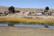 website309009.jpg