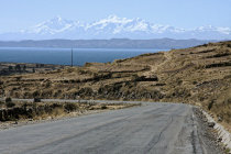 website309010.jpg