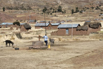 website309012.jpg