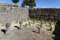 website309016.jpg