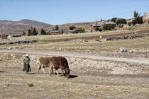 website309017.jpg