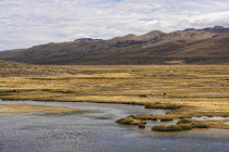 website321006.jpg