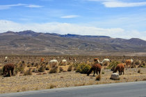 website321015.jpg