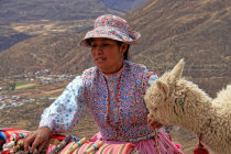 website322003.jpg