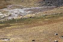 website322011.jpg