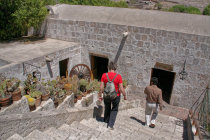 website323003.jpg