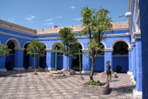 website323017.jpg