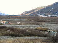 website327048.jpg