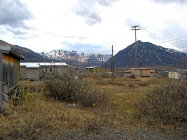 website327049.jpg