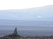 website328050.jpg
