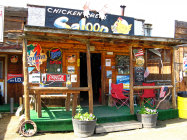 website329046.jpg