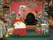 website330033.jpg