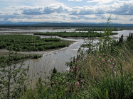 website330036.jpg