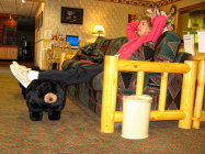 website330040.jpg