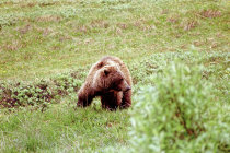 website331005.jpg
