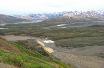 website331051.jpg