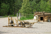 website331059.jpg
