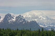 website332004.jpg