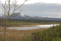 website332052.jpg
