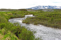 website332058.jpg