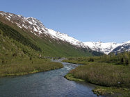 website333004.jpg