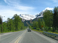 website333037.jpg