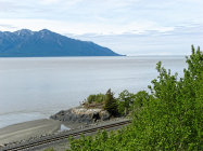 website333039.jpg