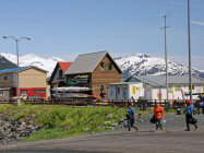 website334035.jpg