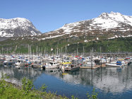 website334042.jpg