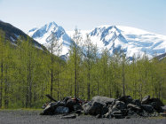 website334044.jpg