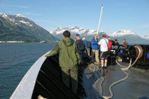 website335034.jpg