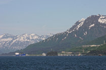 website335035.jpg
