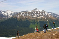 website336037.jpg