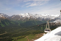 website336043.jpg