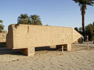 website341044.jpg