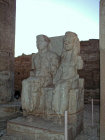website343036.jpg