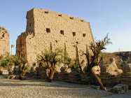website343044.jpg