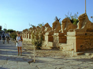 website343045.jpg