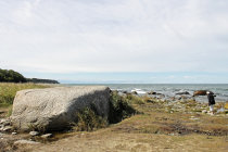 website380048.jpg