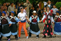 website390052.jpg